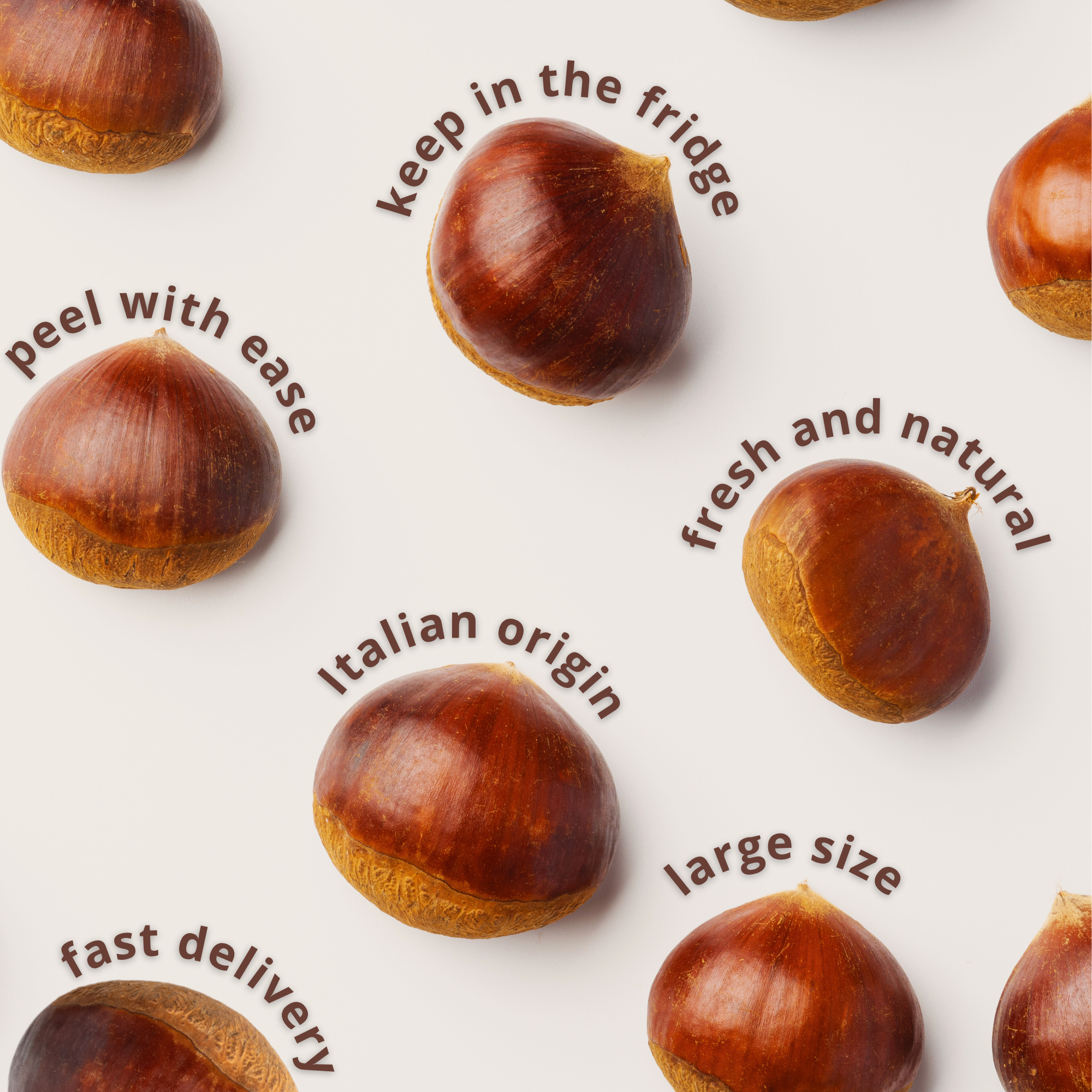 Premium Italian Chestnuts - Fresh, Large Size, Easy to Peel and Hand-Picked (1 LBS)