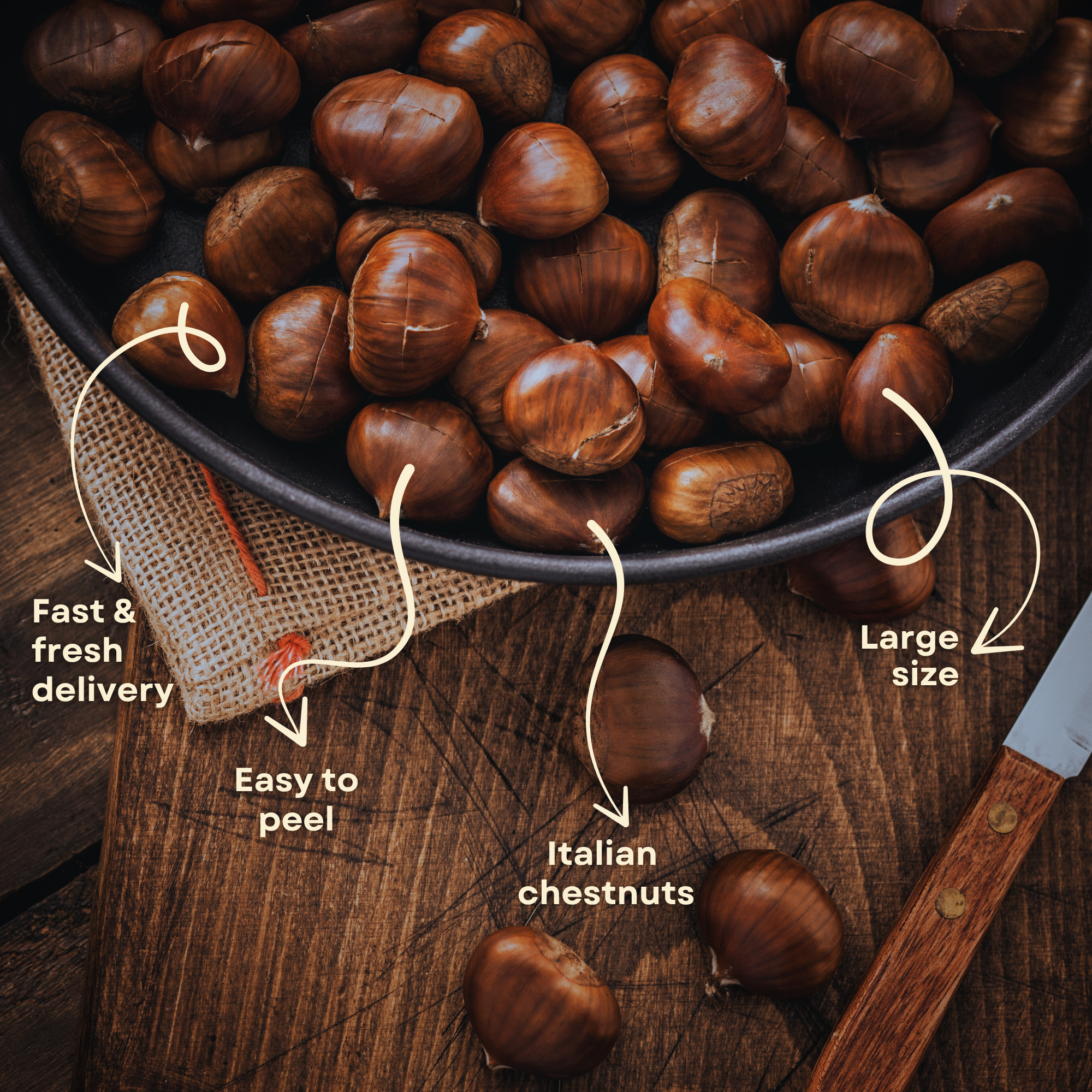 Premium Italian Chestnuts - Fresh, Large Size, Easy to Peel and Hand-Picked (4 LBS)