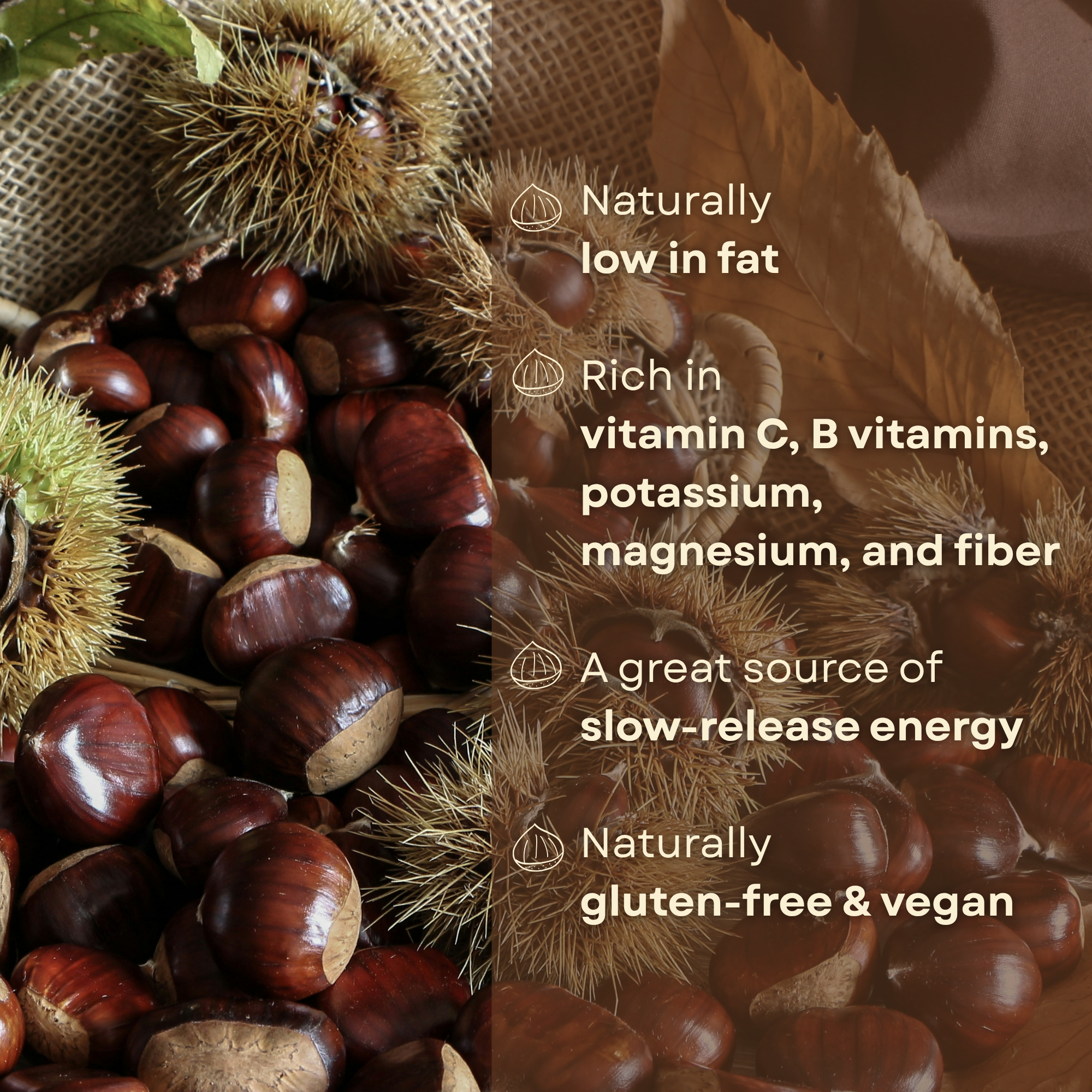 Premium Italian Chestnuts - Fresh, Large Size, Easy to Peel and Hand-Picked (4 LBS)