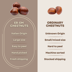 Premium Italian Chestnuts - Fresh, Large Size, Easy to Peel and Hand-Picked (4 LBS)