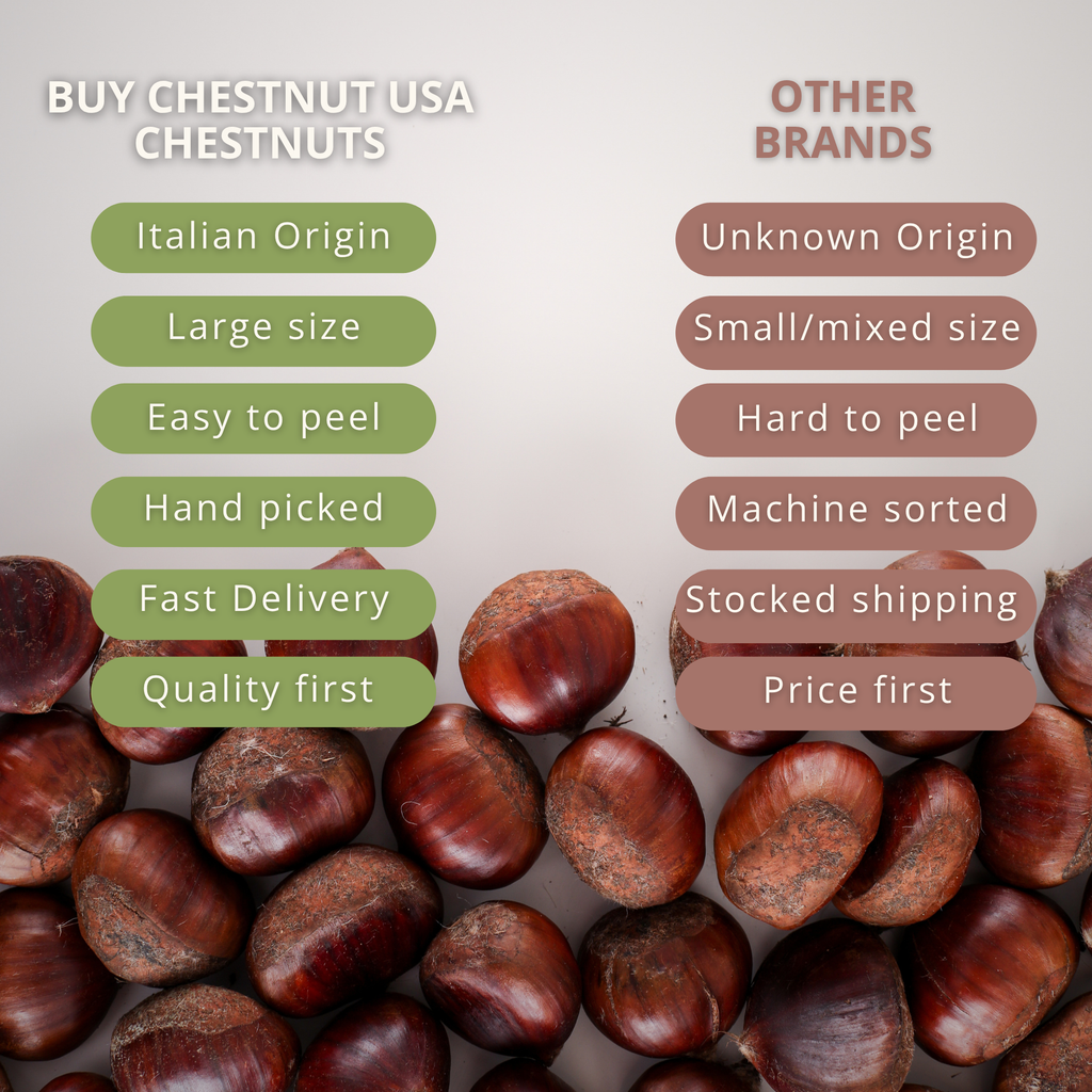 Premium Italian Chestnuts - Fresh, Large Size, Easy to Peel and Hand-Picked (1 LBS)