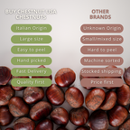 Premium Italian Chestnuts - Fresh, Large Size, Easy to Peel and Hand-Picked (1 LBS)