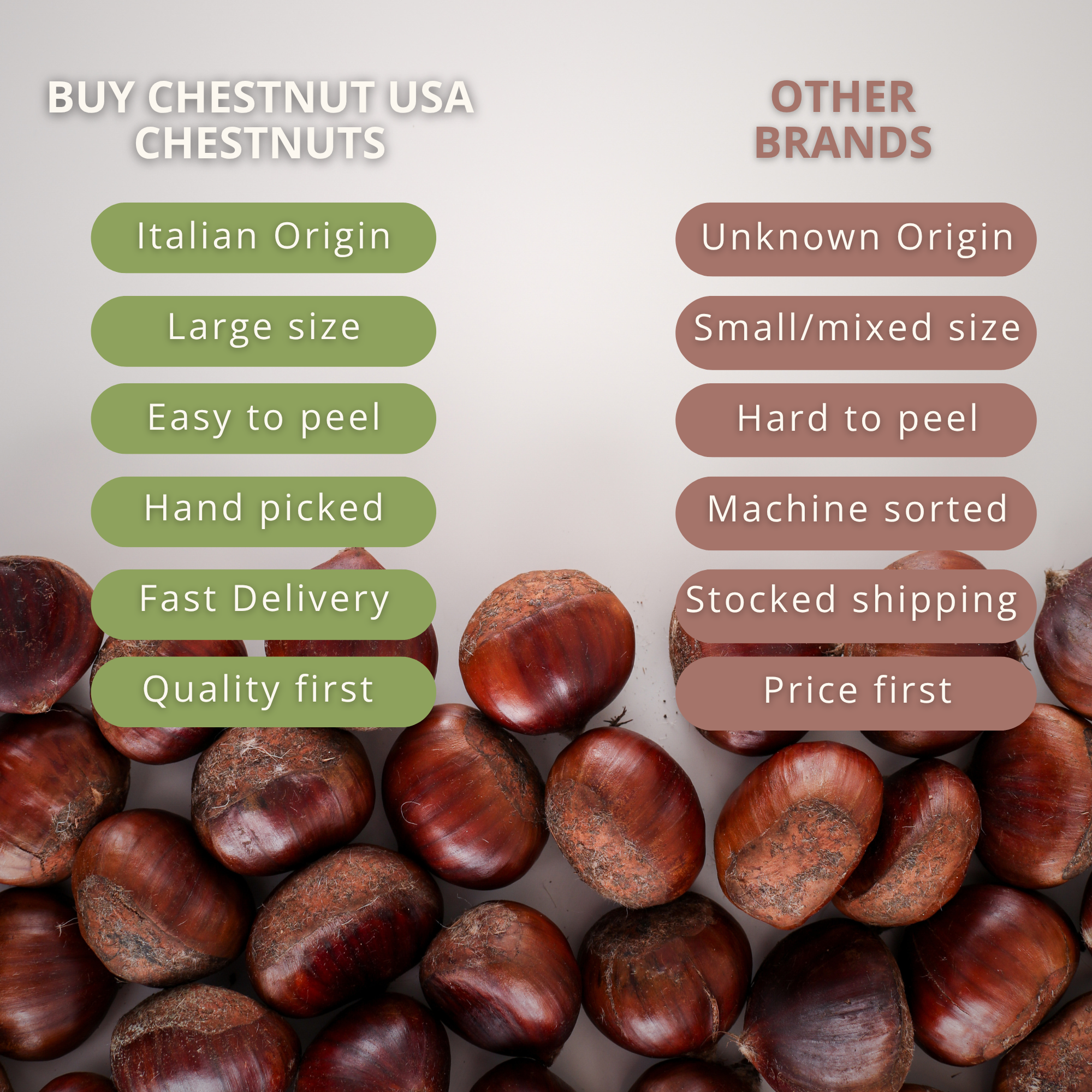 Premium Italian Chestnuts - Fresh, Large Size, Easy to Peel and Hand-Picked (1 LBS)