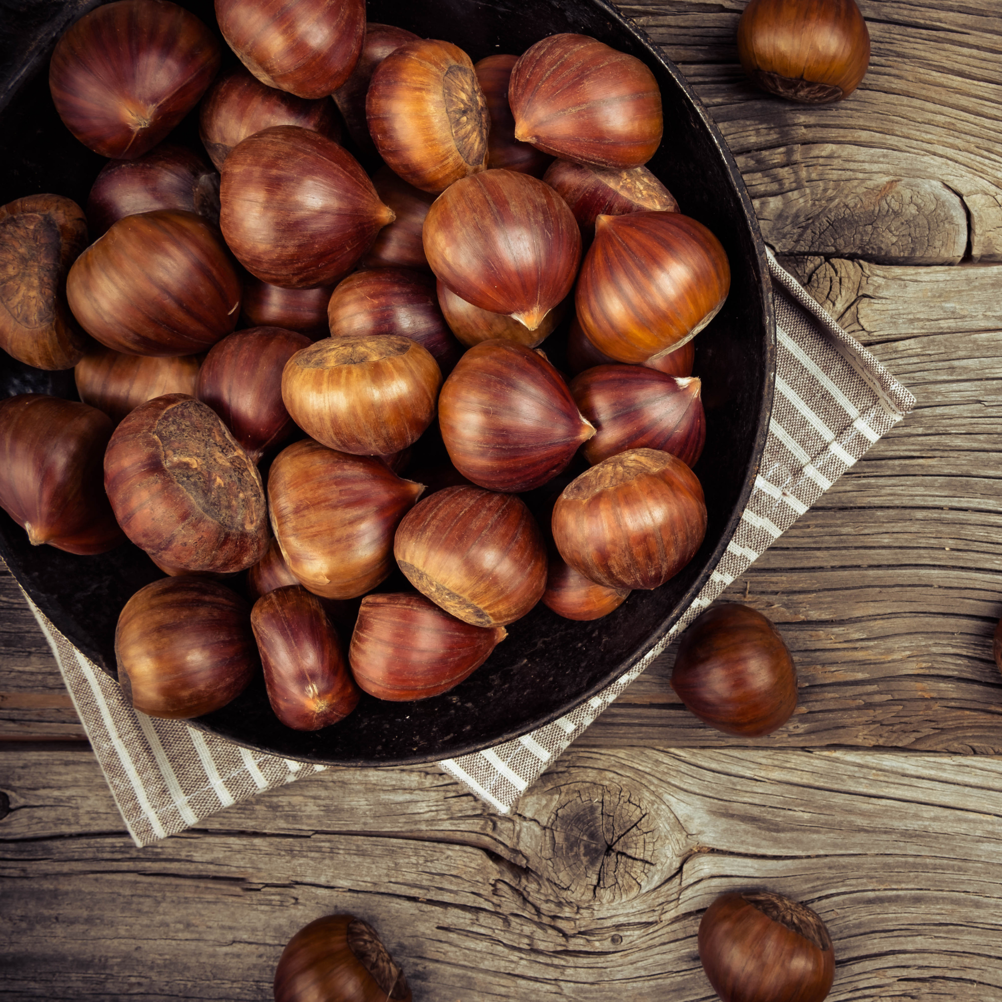 Premium Italian Chestnuts - Fresh, Large Size, Easy to Peel and Hand-Picked (1 LBS)