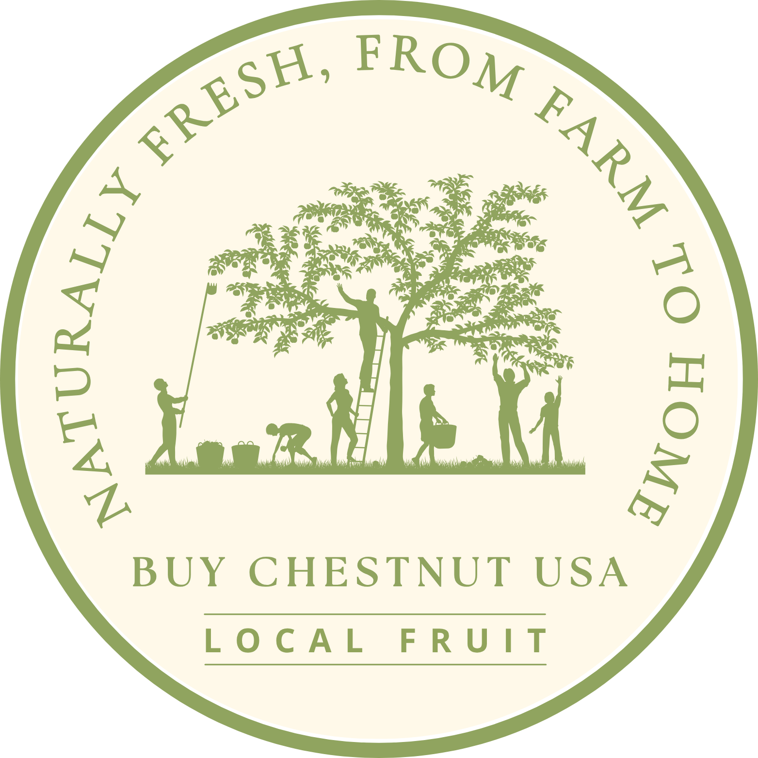Buy Chestnut USA