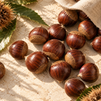 Large glossy chestnuts spilling from a burlap sack with chestnut leaves and burrs on a stone surface